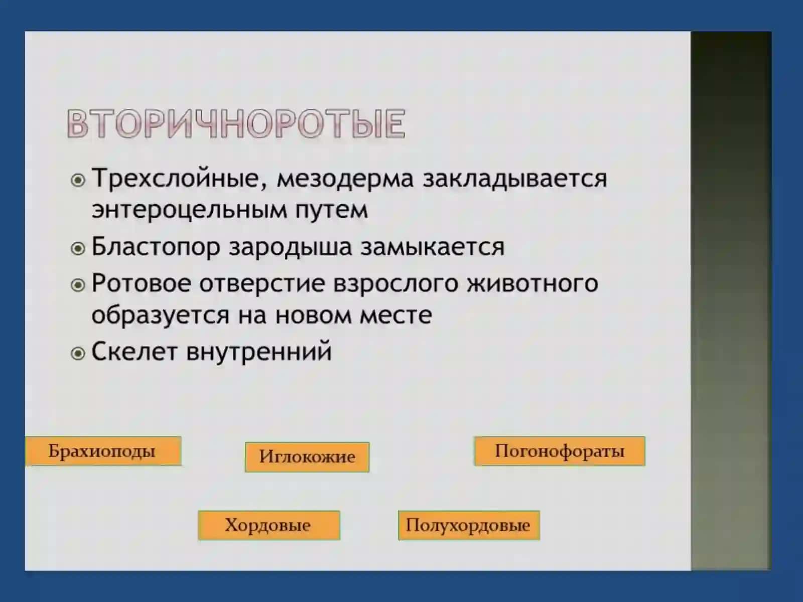ТИП ИГЛОКОЖИЕ 3