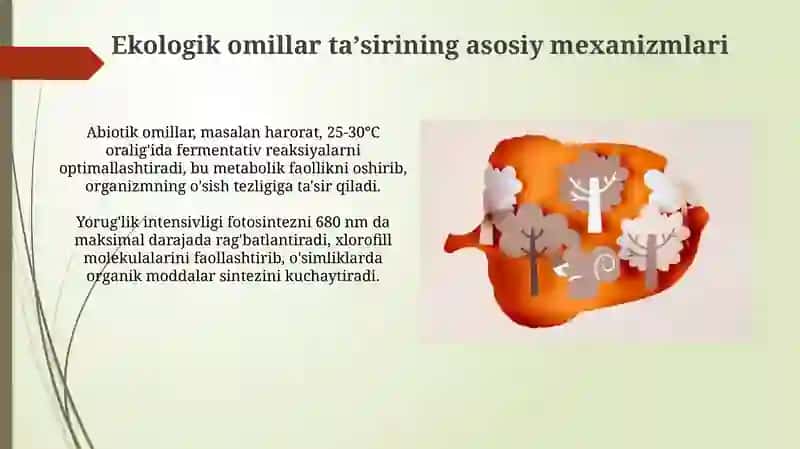 Ekologik omillarning tirik organizmlarga ta'sir etish mexanizmlari 3