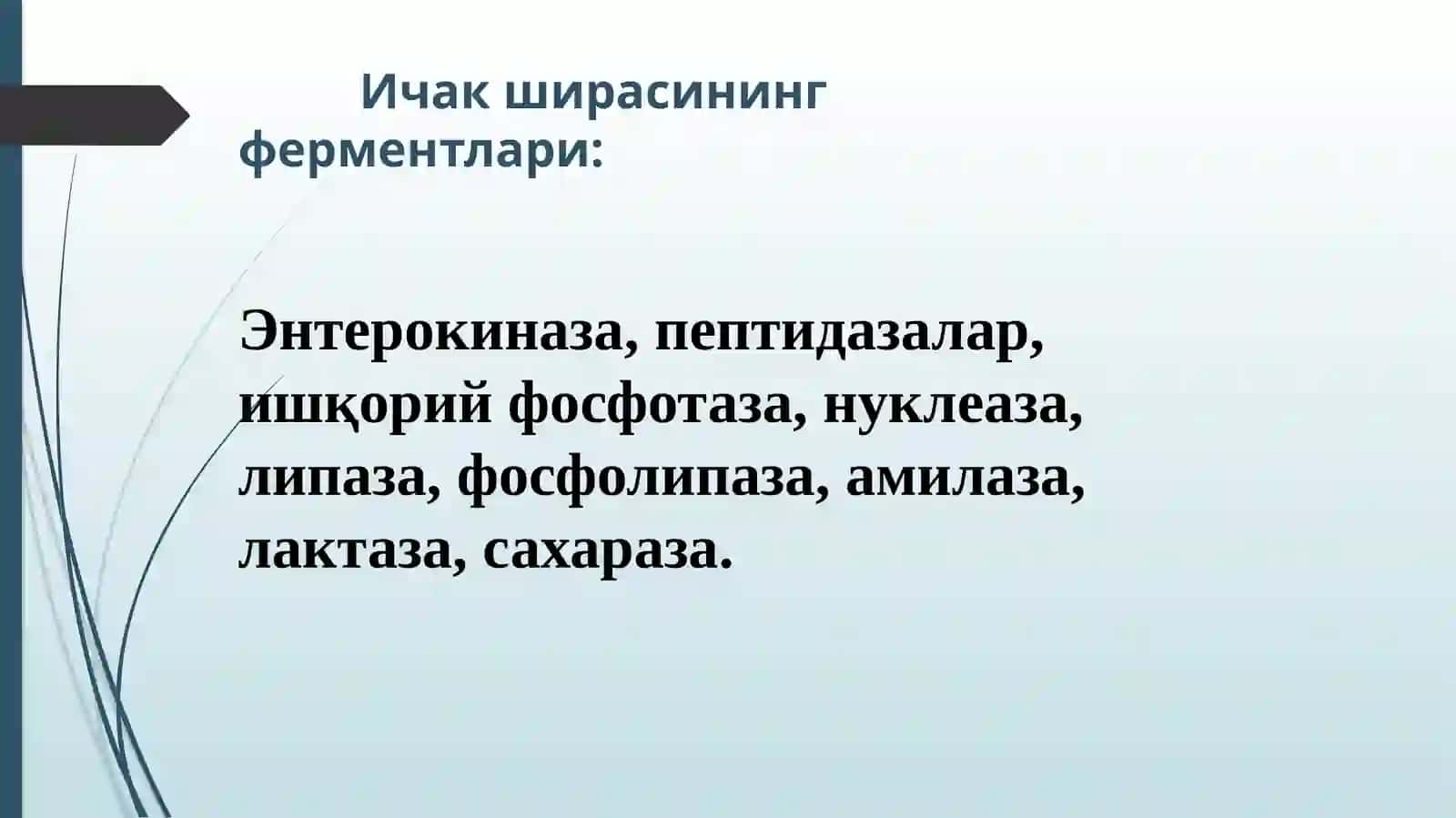 Ичак шираси таркиби ва хоссалари 3