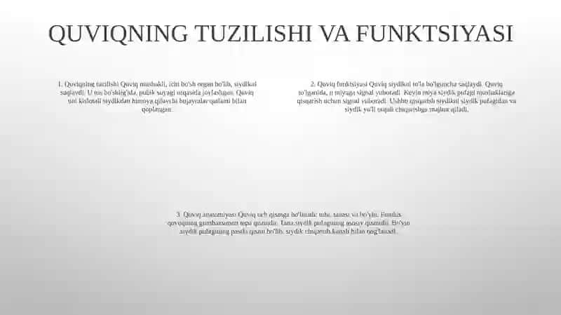 Bolalarda Siydik YoʻLi Siydik Pufagi Siydik Chiqarish Kanali Anatomo-Fiziologik Hususiyatlari 3