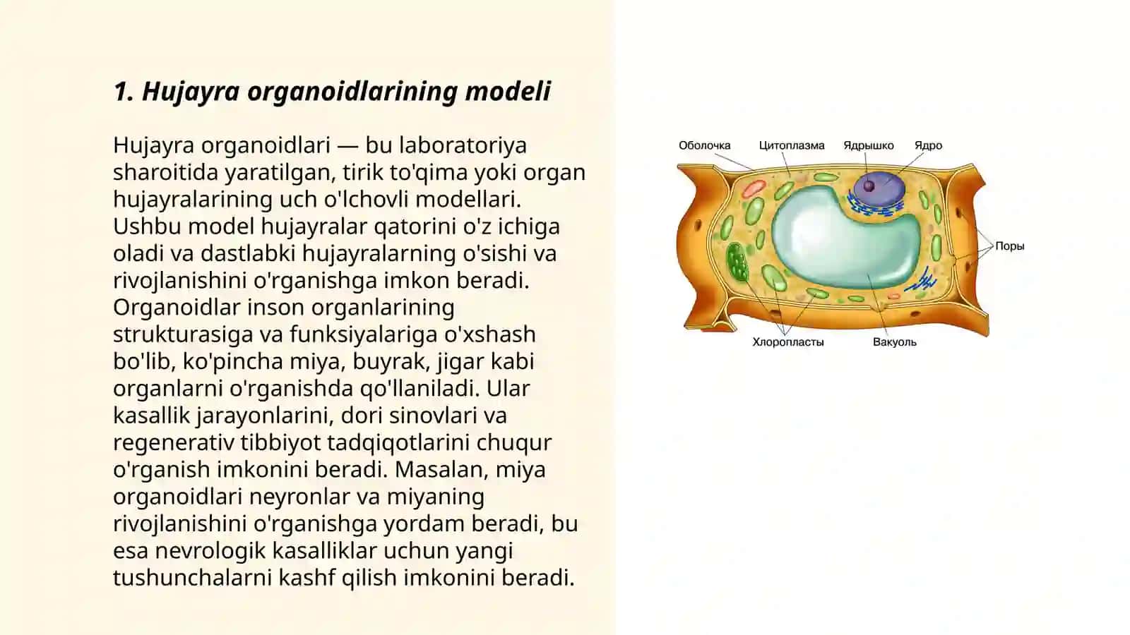 Hujayra Organoidlari Moduli: Innovatsion Ta'lim Texnologiyalari 3