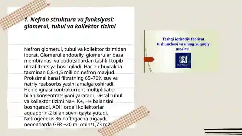 Buyrak kasaliklar patofiziologiyasi 3