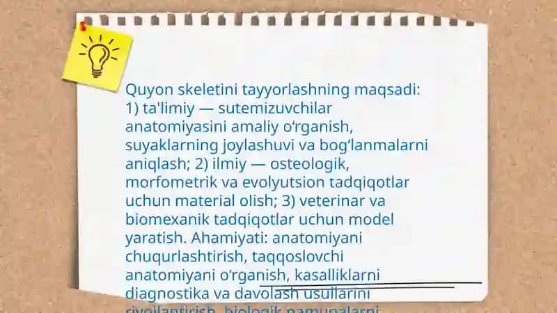 Sutemizuvchilar sinfi vakili quyonning skeletini tayyorlash 3