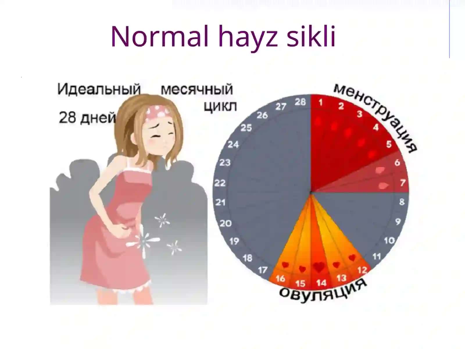 Hayz sikli buzilishlari 3