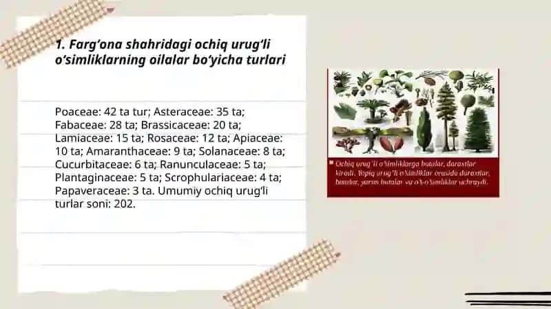 Fargʻona shahridagi ochiq uruğli ósimliklarning tur tarkibi 3