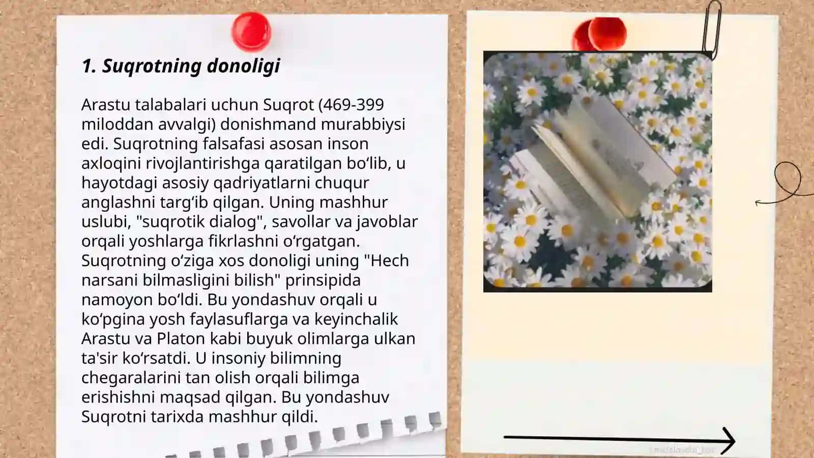 "Farhod va Shirin"dagi Suqrot va Farhod suhbati (26-bob) sharhi 3