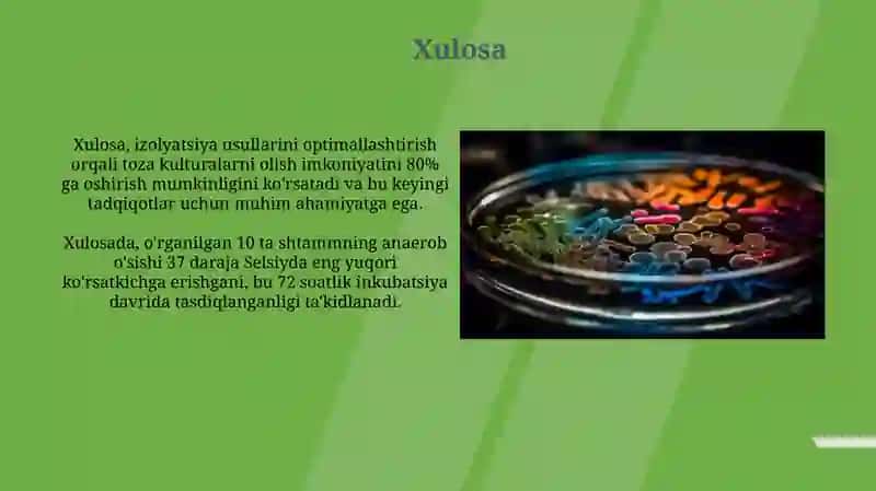 Aerob va anaerob bakteriyalarni sof xosilasini ajratish bosqichlari 3