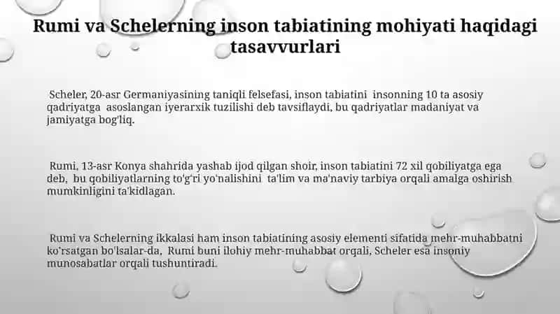 Jaloliddin Rumiy va M.Shelerning inson tabiatiga oid qarashlarini tahlil etish 3
