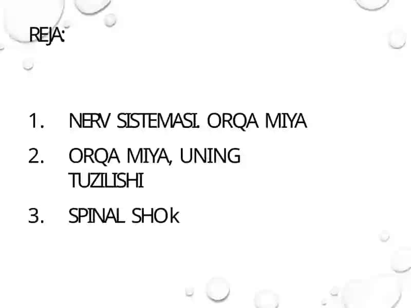 ORQA MIYANING REFLEKTOR VA O’TKAZUVCHI YO’L	FAOLIYATI, TEKSHIRISH USULLARI 3