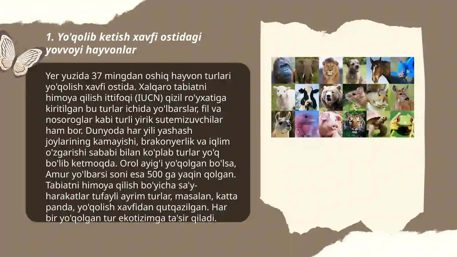 Yovvoyi hayvonlar 3