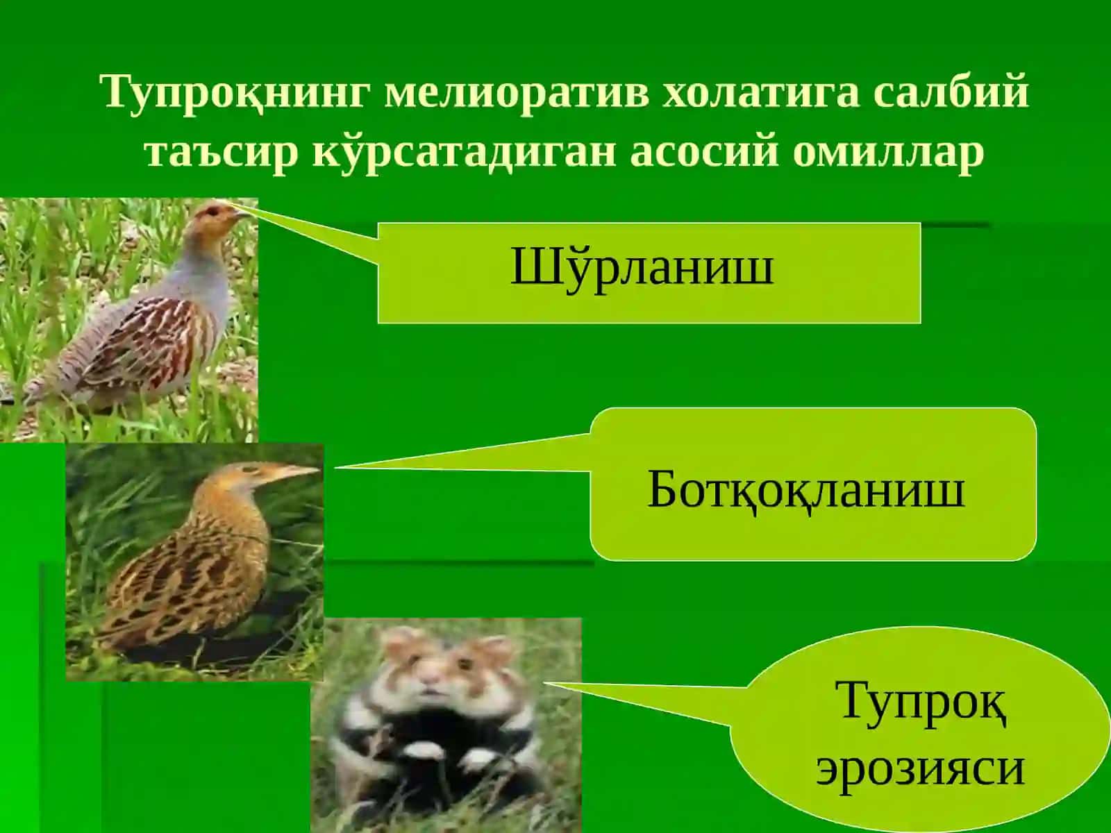 Ерларнинг мелиоратив ҳолатига табиий шароитларининг таъсир 3