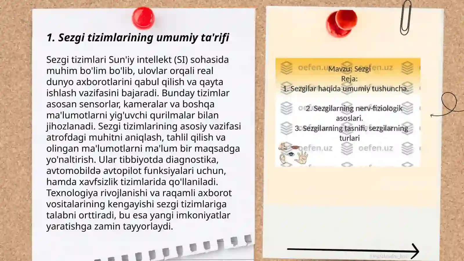 Sezgilar haqida umumiy tushuncha va uning nerv fiziologik asoslari 3