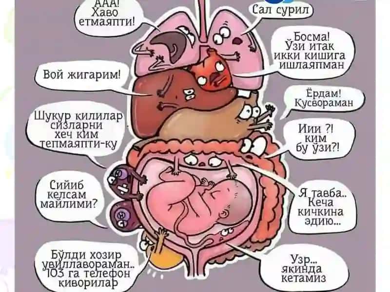 Homiladorlar, homila va emizakli ayollarda klinik farmakologiyaning oʼziga xos xususiyatlari 3
