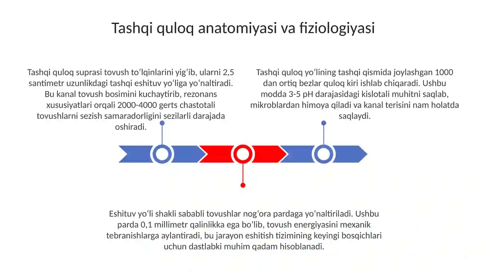 Eshituv va vestibulatorlar fiziologiyasi 3