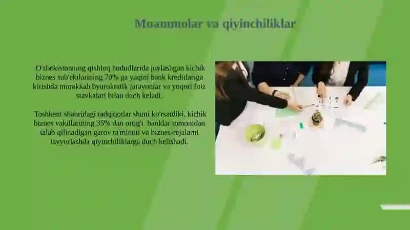 Kichik biznesni rivojlantirishda banklarning ro'li 3
