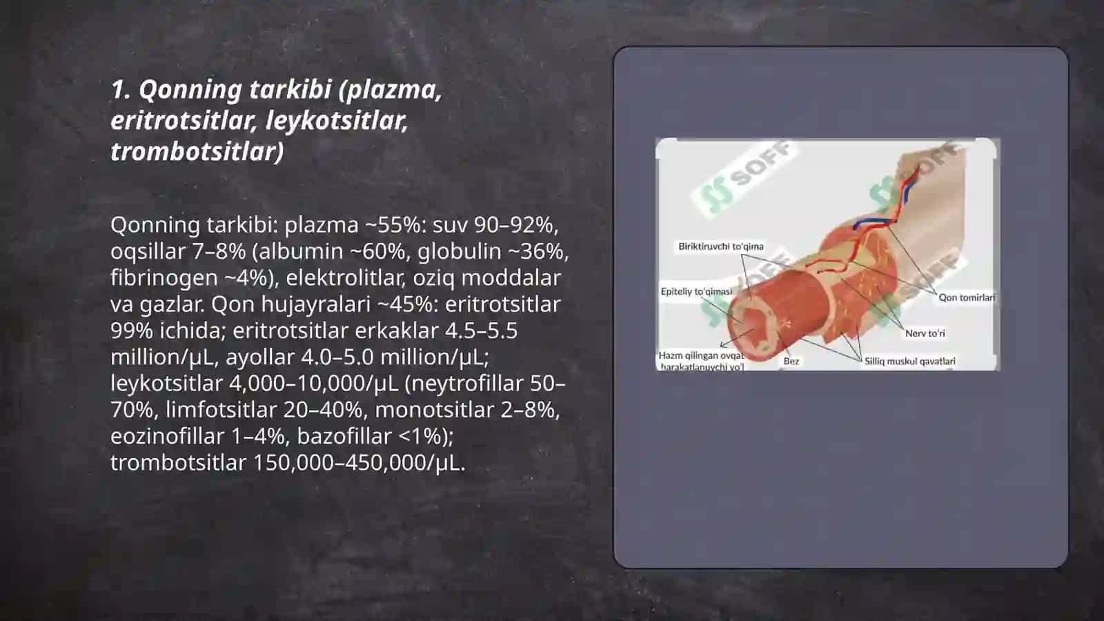 Qonning tarkibi (plazma, eritrotsitlar, leykotsitlar, trombotsitlar) 3