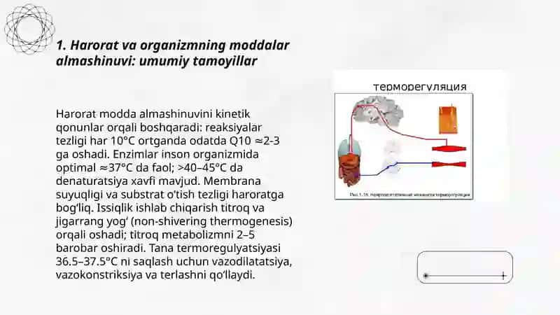 Haroratning moddalar almashinuviga va termoregulyatsiya tasiri Kuchkarova Nafisa 3