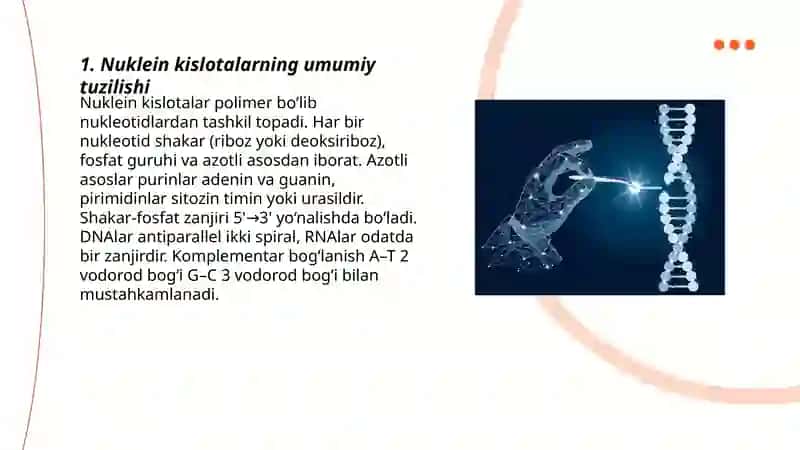 Nuklein kislotalar 3