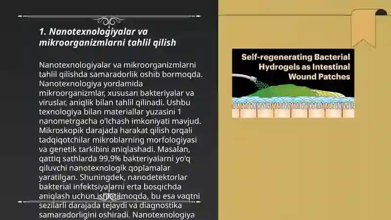 Mikrobiologiya modulida nanotexnalogiyalarning qoʻllanilishi 3
