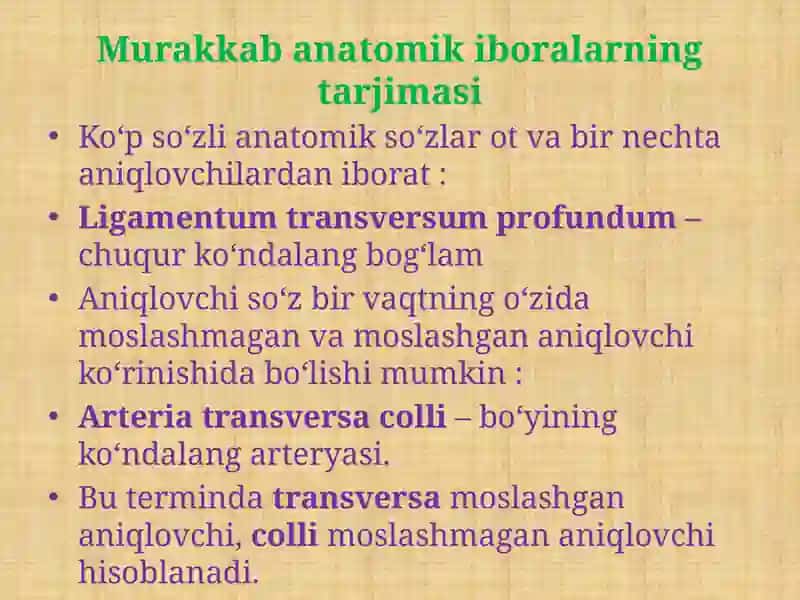 Murakkab Anatomik Iboralarni Tarjima Qilish. Mushaklarning Nomlanishi 3