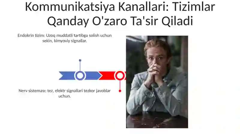 Organizimning nerv, immun, endokirin boshqariluvi 3