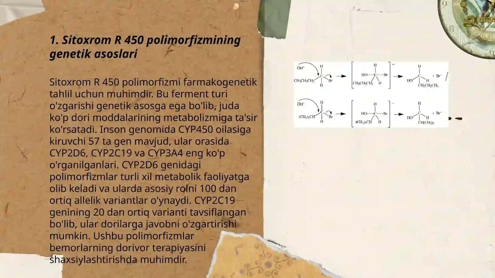 Sitoxrom R 450 polimorfizmi va kimyoviy konserogenezi 3