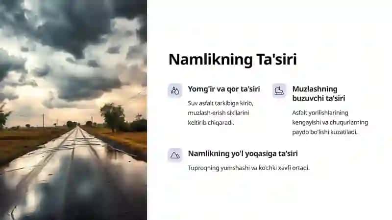 Yil Mavsumlari Ta'sirida Qatnov Qismi va Yo'l Yoqasining O'zgarishi 3