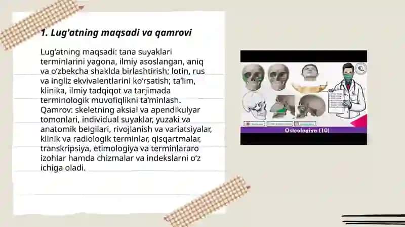 Tana suyaklari terminlariga lug’at tuzish 3