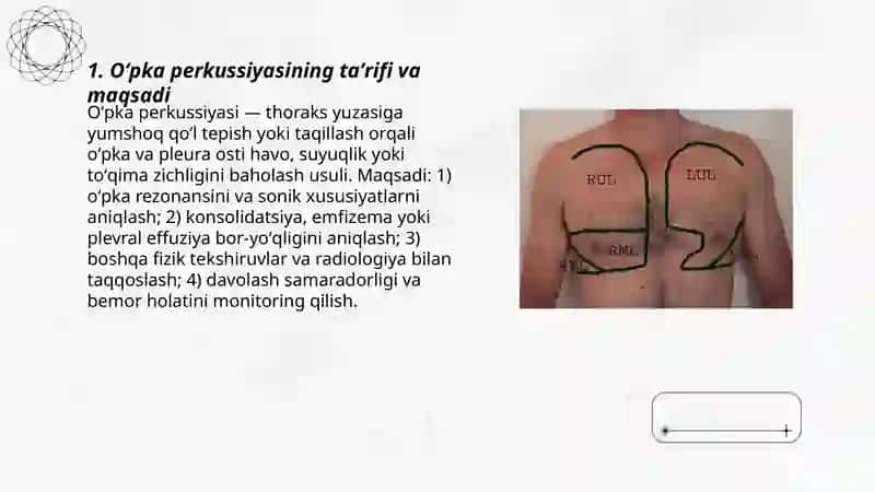 Oʻpka perkussiyasi, umumiy qoidalari qiyosiy perkussiya 3