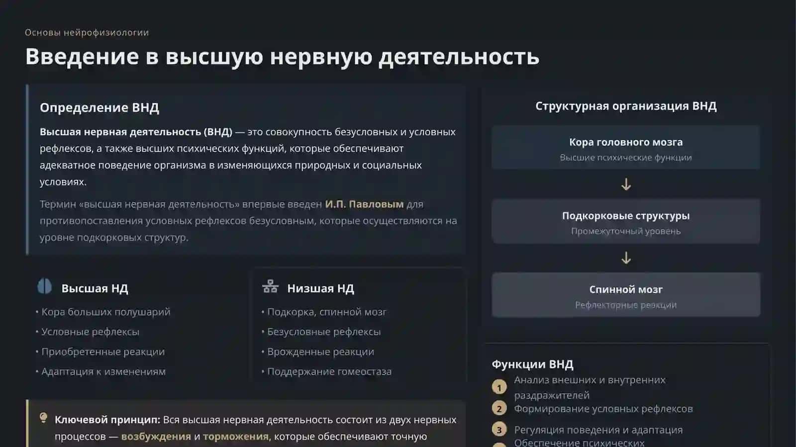 Типы высшей нервной деятельности и сигнальные системы организма 3