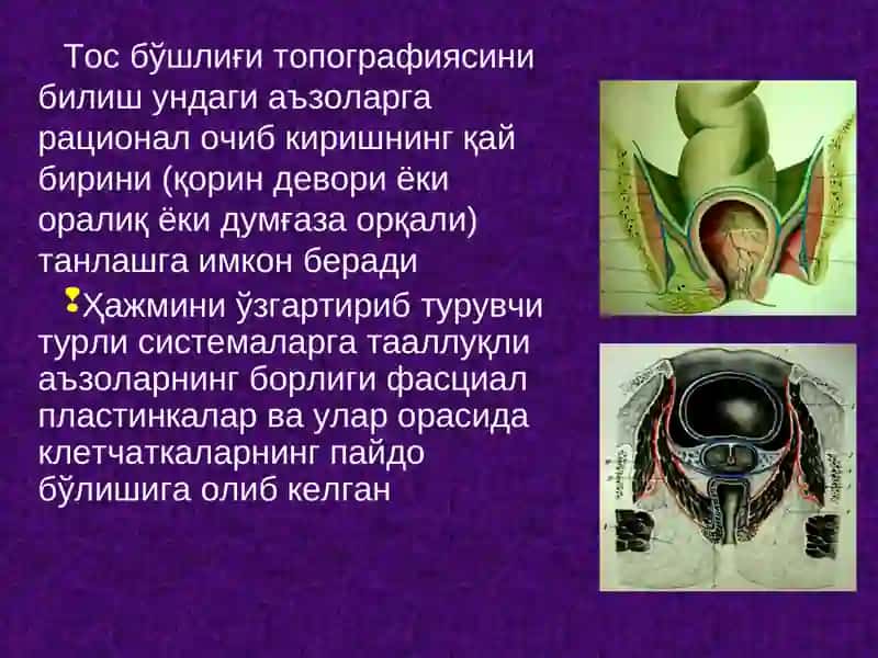 Тос чаноғи топографик анатомияси. Тос бўшлиғи аъзоларида асосий операциялар 3