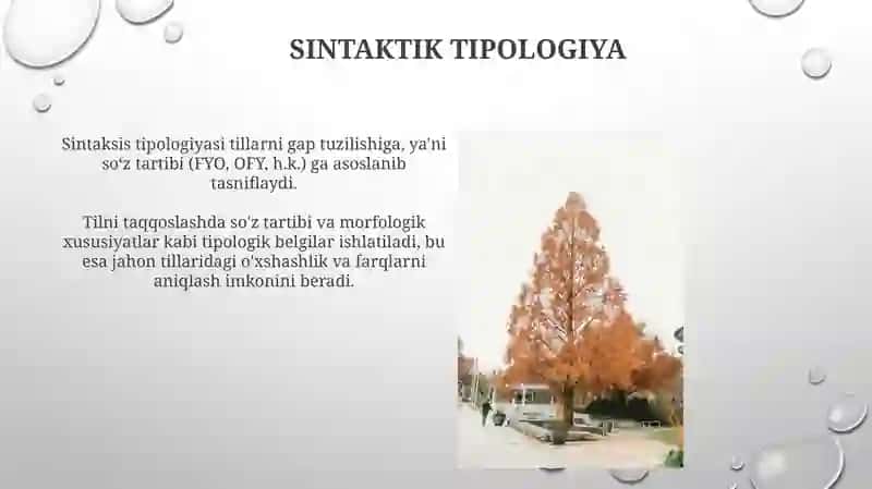 Tilshunoslikdagi lisoniy tasnif 3