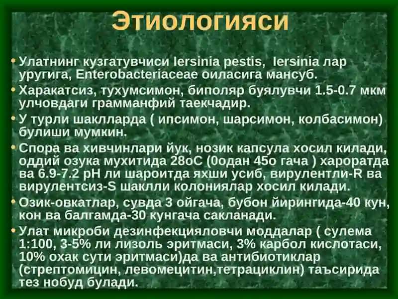 Улат 3
