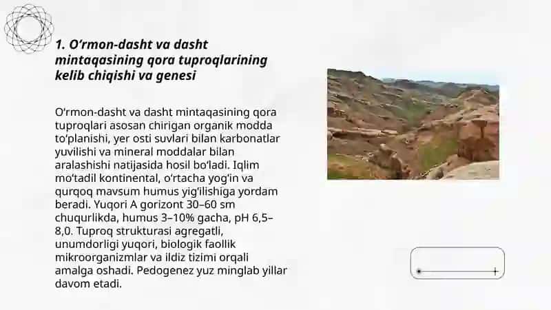 О‘rmon-dasht va dasht mintaqasining qora tuproqlari 3