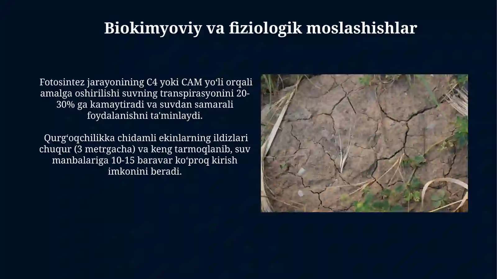 Don-dukkakli ekinlarning asosiy hususiyatlari 3