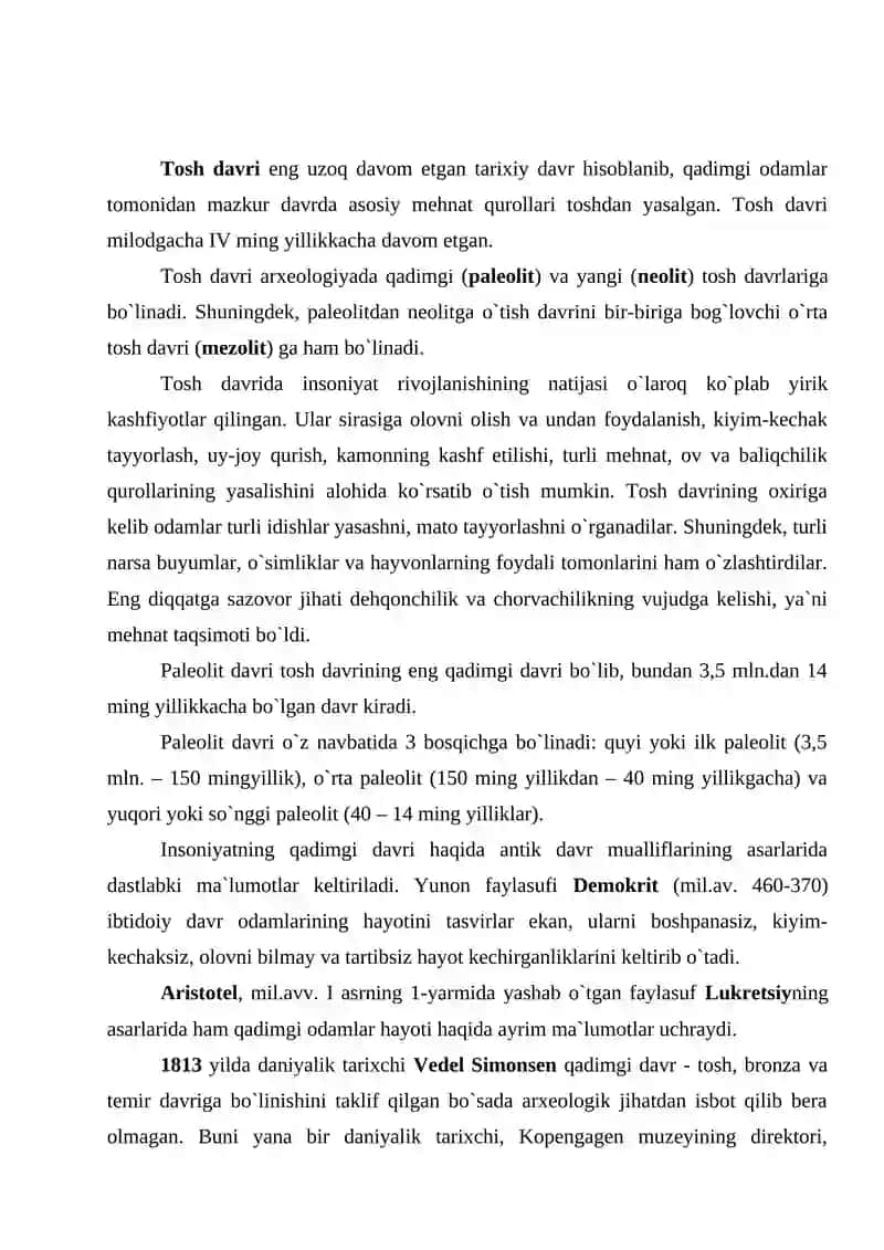 O’rta paleolit davri arxeologiyasi 3
