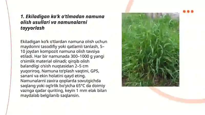 Ekiladigan koʻk oʻtlmni kimyoviy tarkibi va toʻyimliligini aniqlash 3