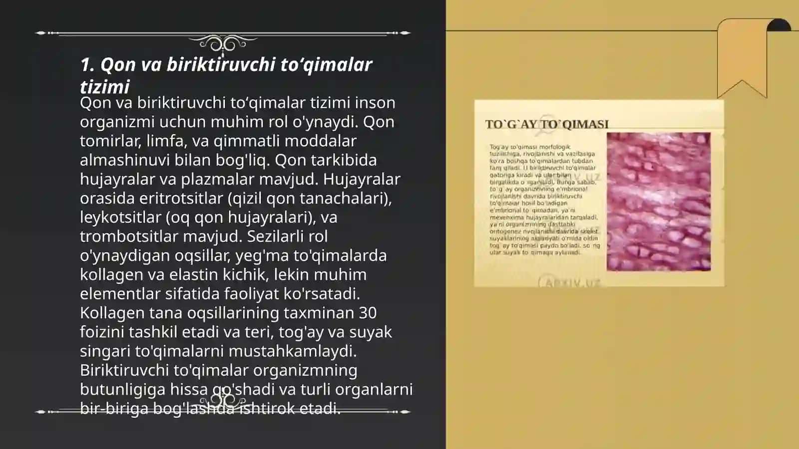 Qon va siyrak tolali biriktiruvchi toʻqimalarning oʻzaro munosabati 3