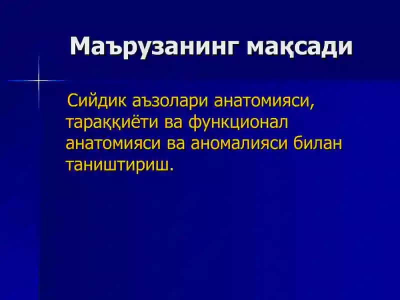 Сийдик чиқарув аъзоларининг анатомияси 3