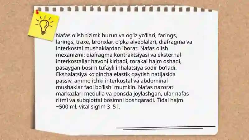 Nutq texnikasi asoslari:nafas olish va ovoz 3