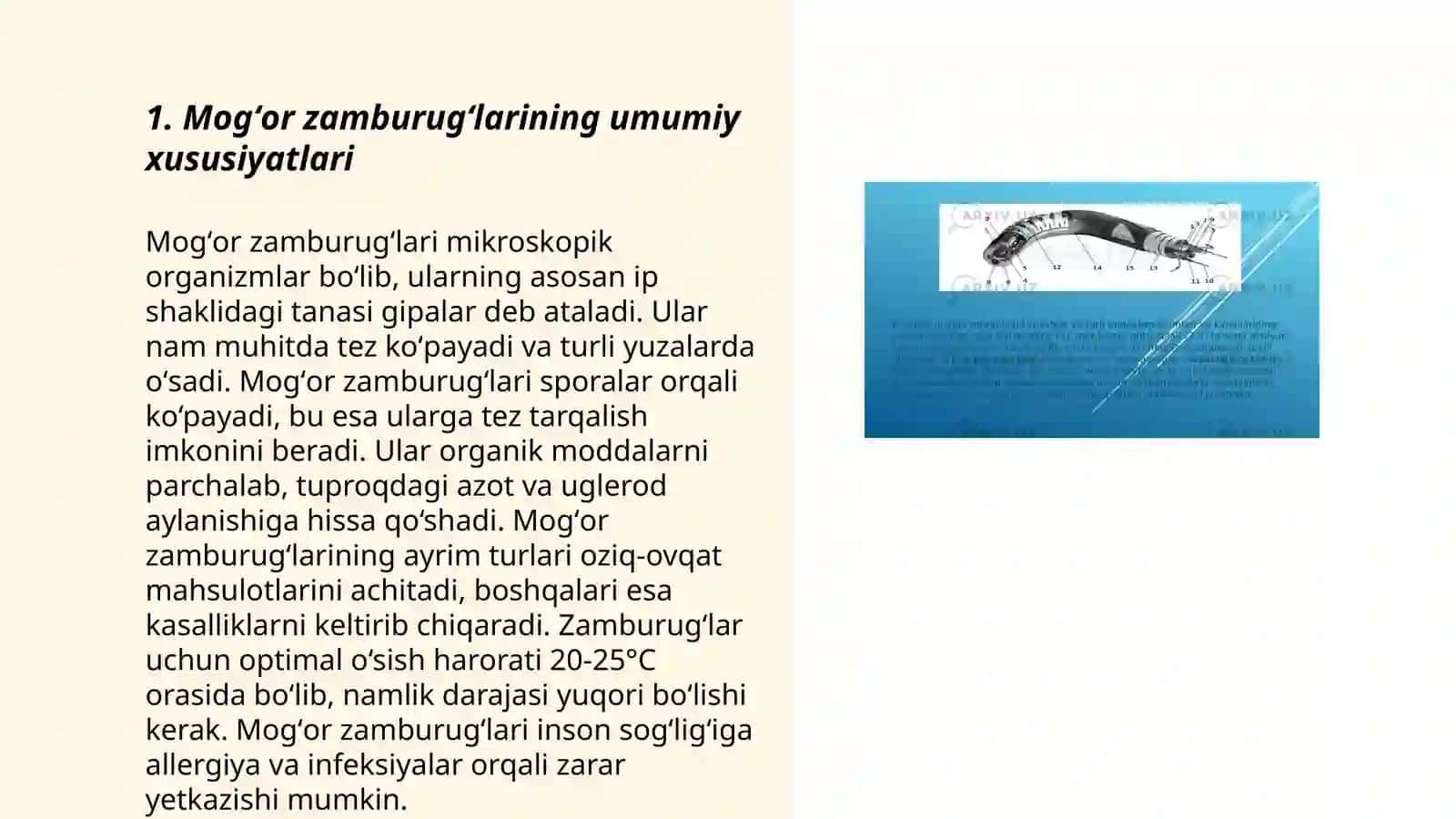 Mogʻor zamburugʻlari.Achitqilar. Ultramikroblarning tuzilishi va xususiyatlari 3