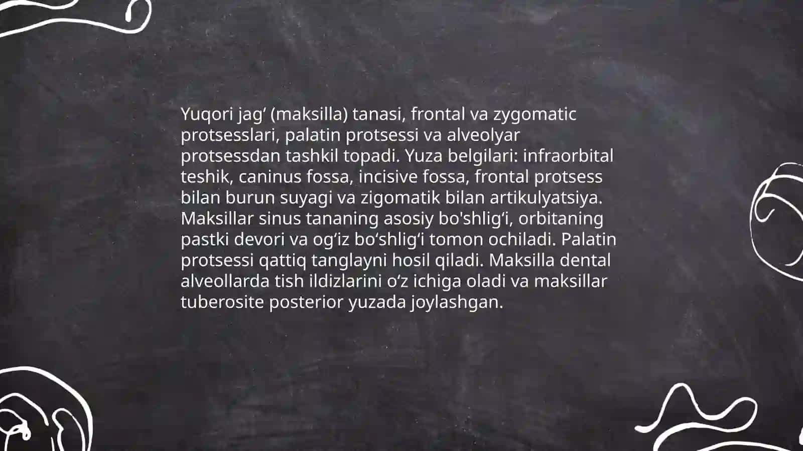Yuz suyaklari yuqori va pastki jagʻ yanoq tanglay va til ostisuyaklari 3