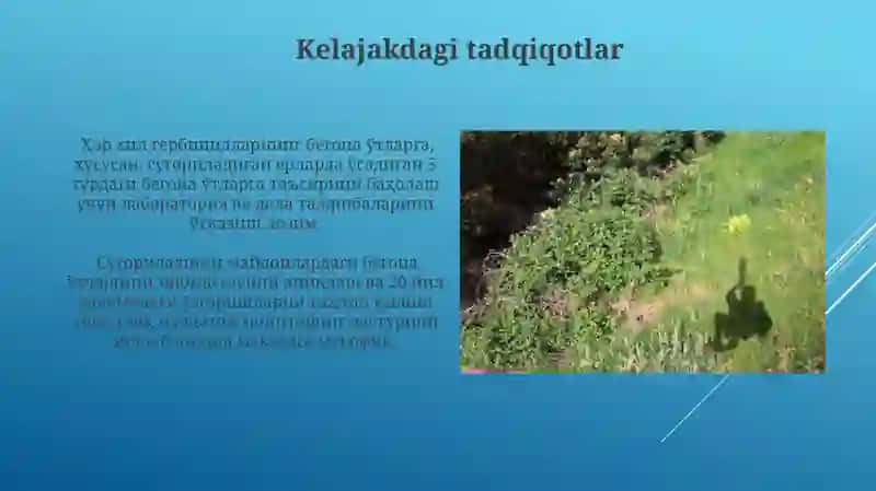 Sugʻoriladigan yerlarda oʻsadigan begona oʼtlar 3