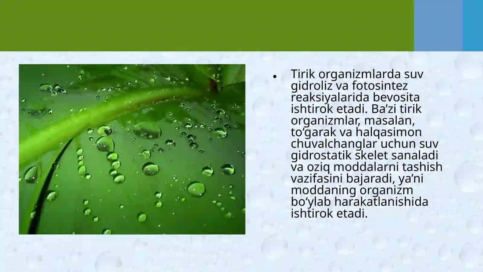 Namlik ekologik omil sifatida 3