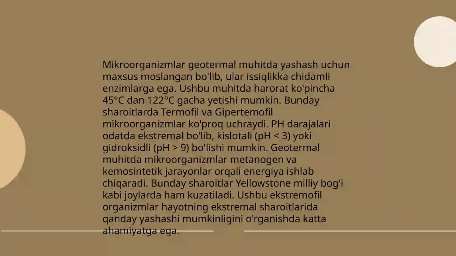 Mikroorganizmlarning geyserlar va issiq manbalarda tarqalishi 3