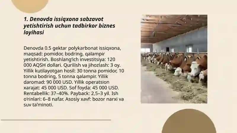 Denov tadbirkor biznes loyiha 3