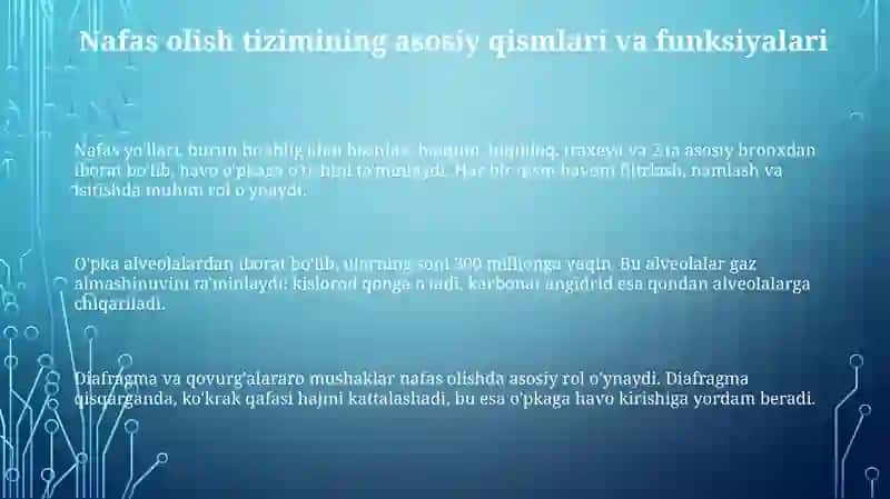 8 sinf nafas organlari mavzusining o‘qitilishi 3