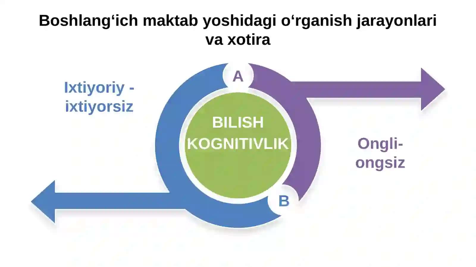 BOSHLANG‘ICH SINF O‘QUVCHILARIDA KECHADIGAN KOGNITIV JARAYONLAR 3