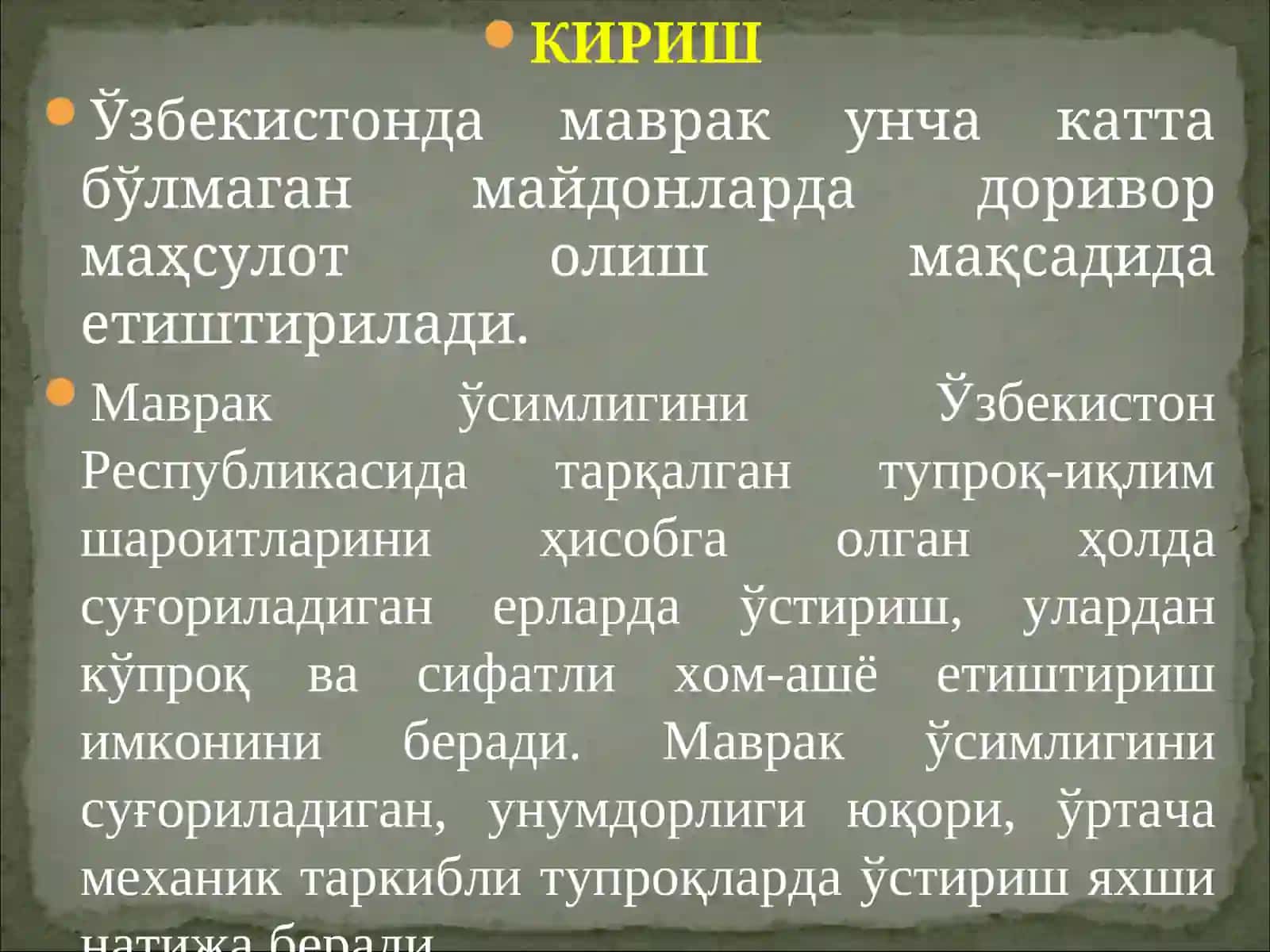 МАВРАК (ШАЛФЕЙ) КАСАЛЛИКЛАРИ ВА УЛАРГА ҚАРШИ КУРАШ ЧОРАЛАРИ 3