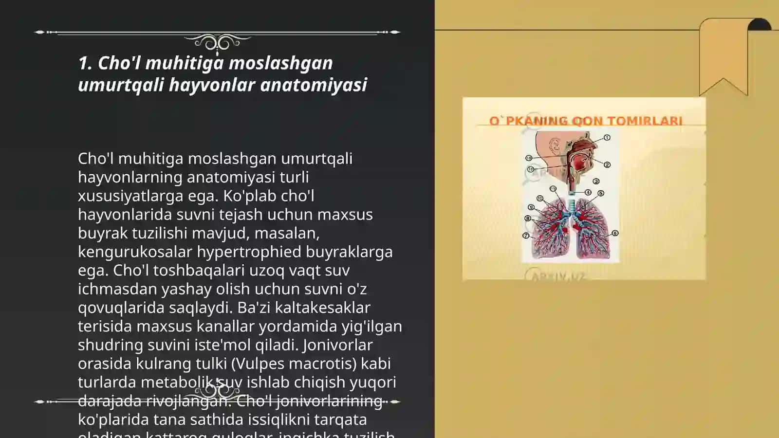 Cho'l ekotizimlari hayvonot olami asosiy vakillarining (umurtqalilardan tanlov asosida ) ichki va tashqi tuzilishi, tuzilishidagi yashash sharoitiga moslanish belgilarini o'rganish 3
